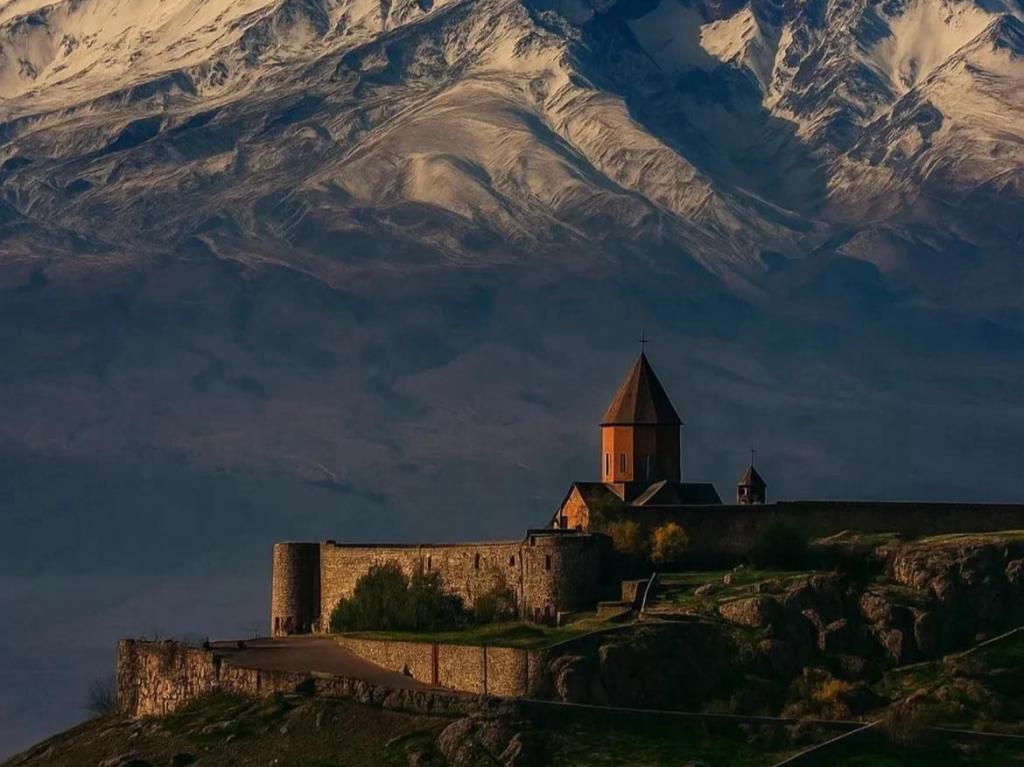 Виноградники Арарата